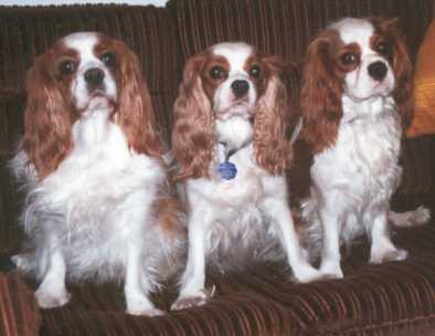 Cindy with mother and grandmother (from right)